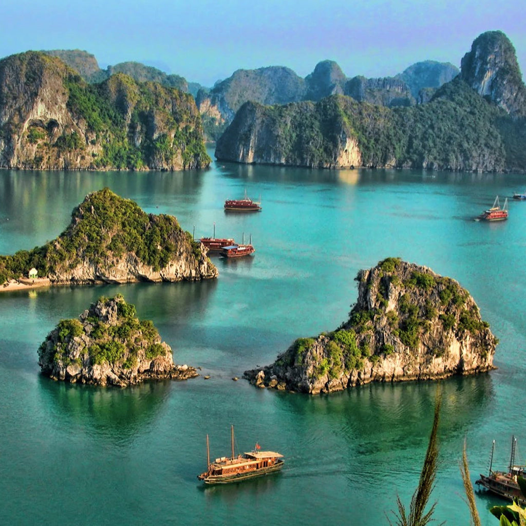 6D5N Hanoi + Halong Bay (Overnight La - Pandora) + Sapa Valley (Private)